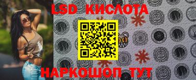 гашик Кандалакша
