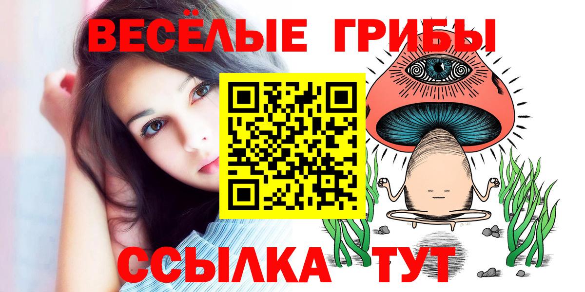 Галлюциногенные грибы GOLDEN TEACHER  Галлюциногенные грибы Psilocybe  Вход с VPN  Кубинка 