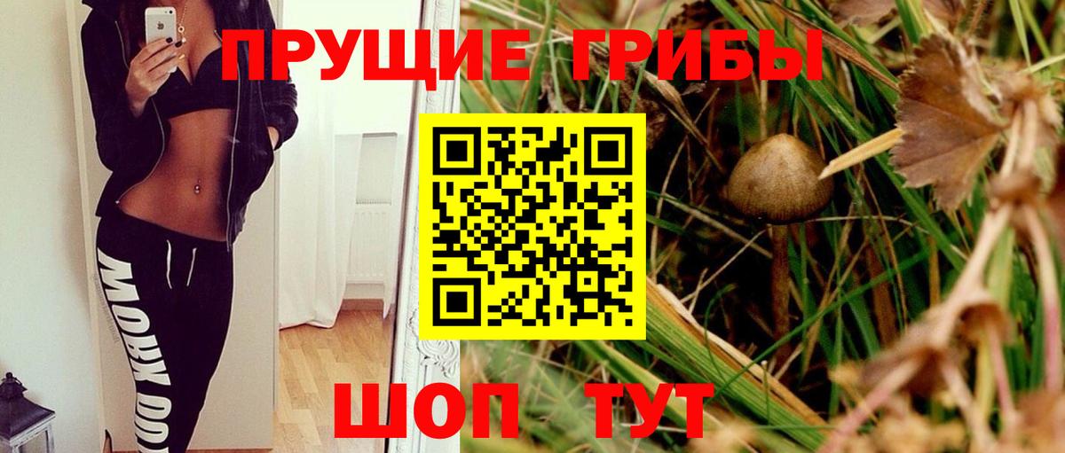 Галлюциногенные грибы GOLDEN TEACHER Кубинка